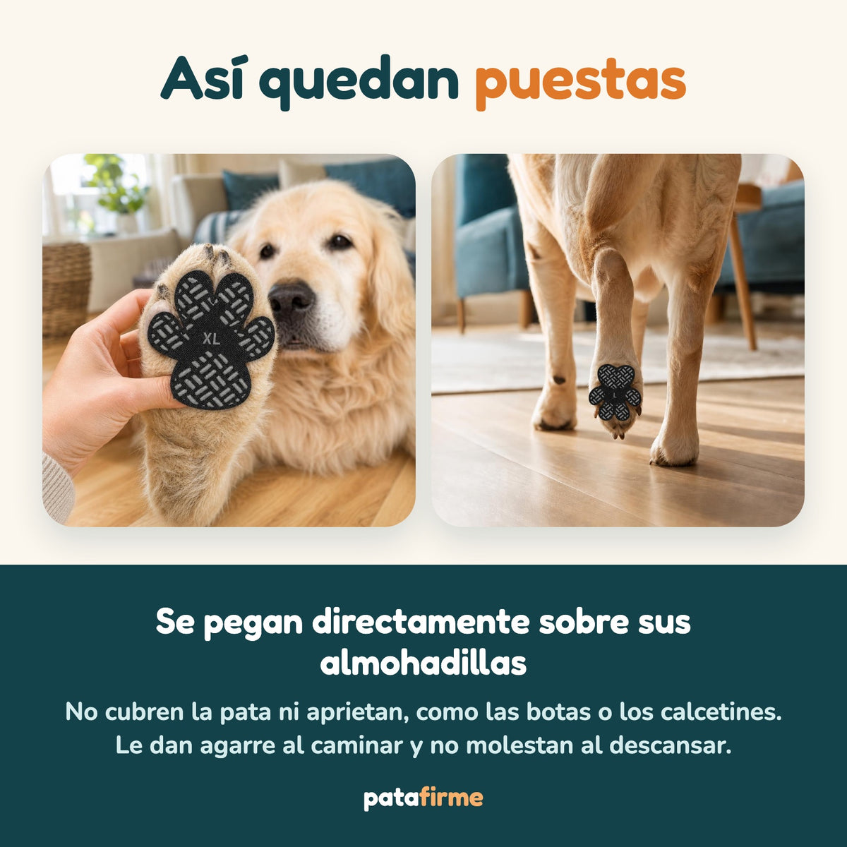Así quedan puestas las huellitas sobre las almohadillas del perro