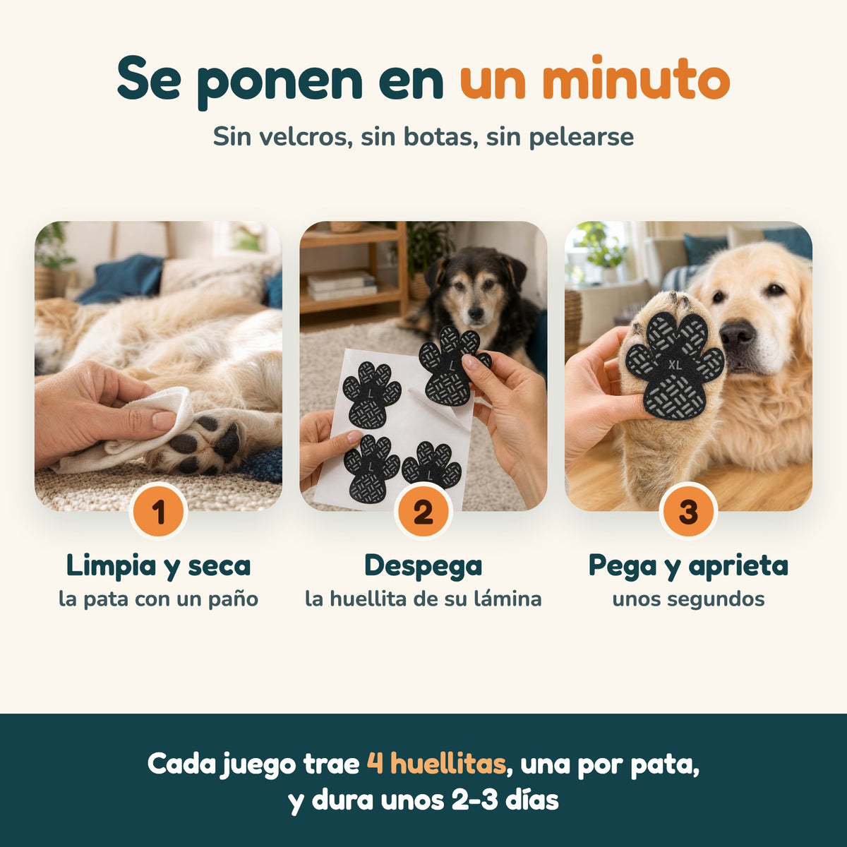 Cómo se ponen las huellitas en tres pasos